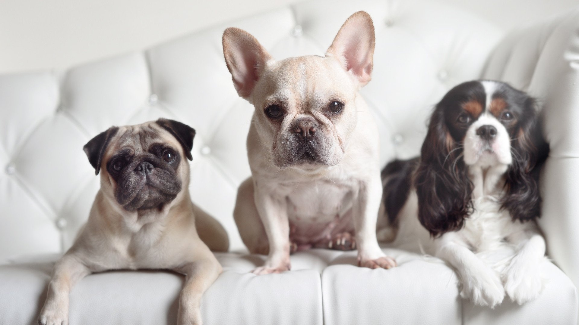 教练发展论坛聚焦后备人才梯队搭建,教练培养体系