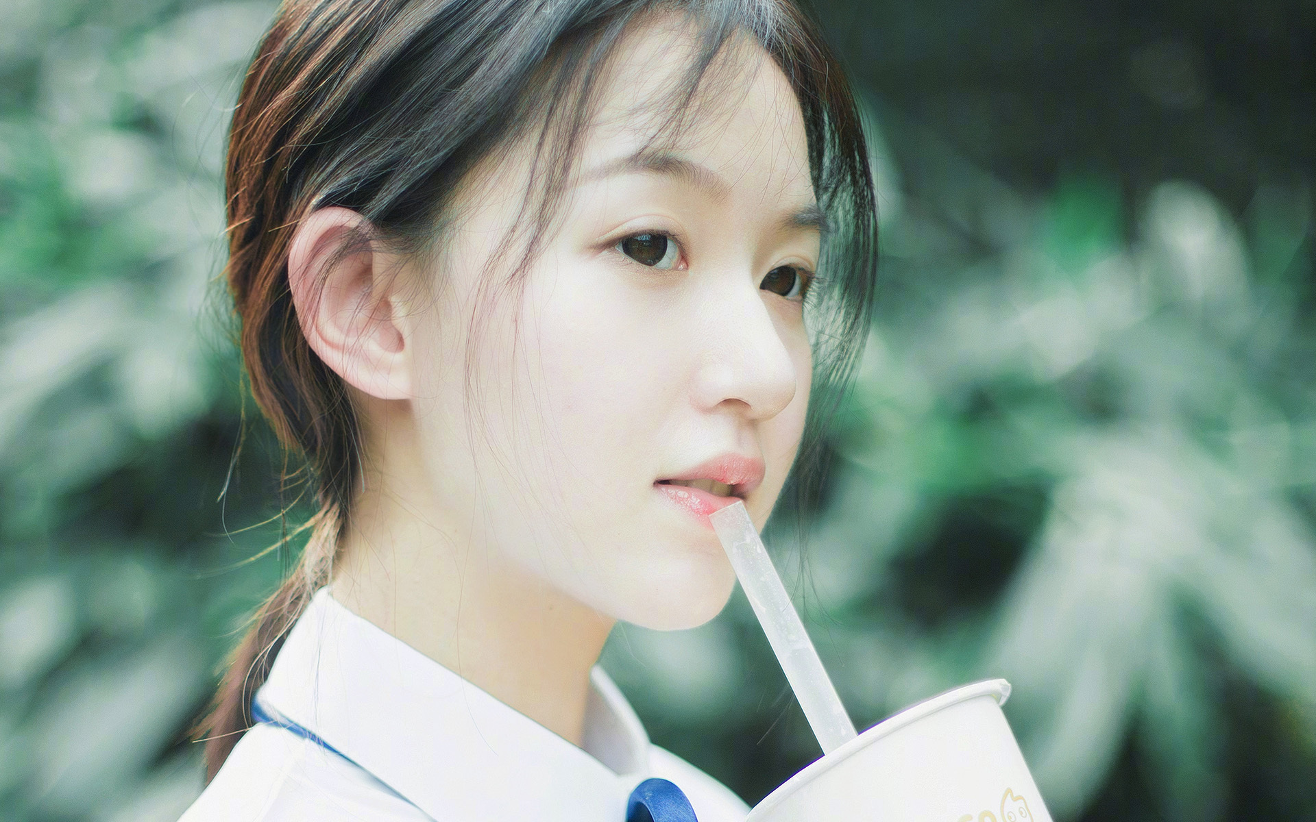 新加坡队赛制分析：团体赛制下的战术部署与团队协作，新加坡小组赛