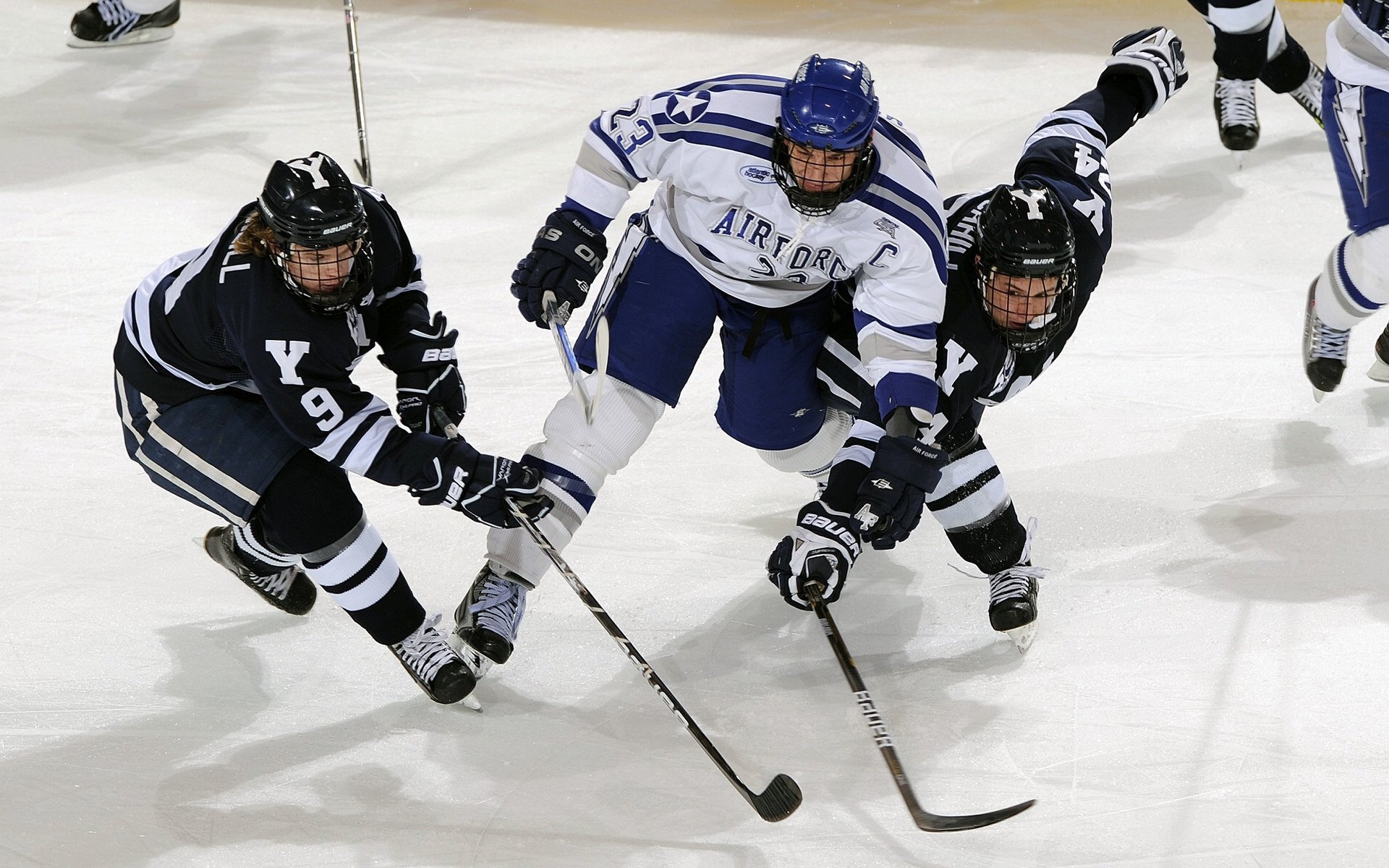 体育新闻中心特别报道更新，体育新闻中心特别报道更新信息